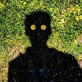 一固执的鱼的头像
