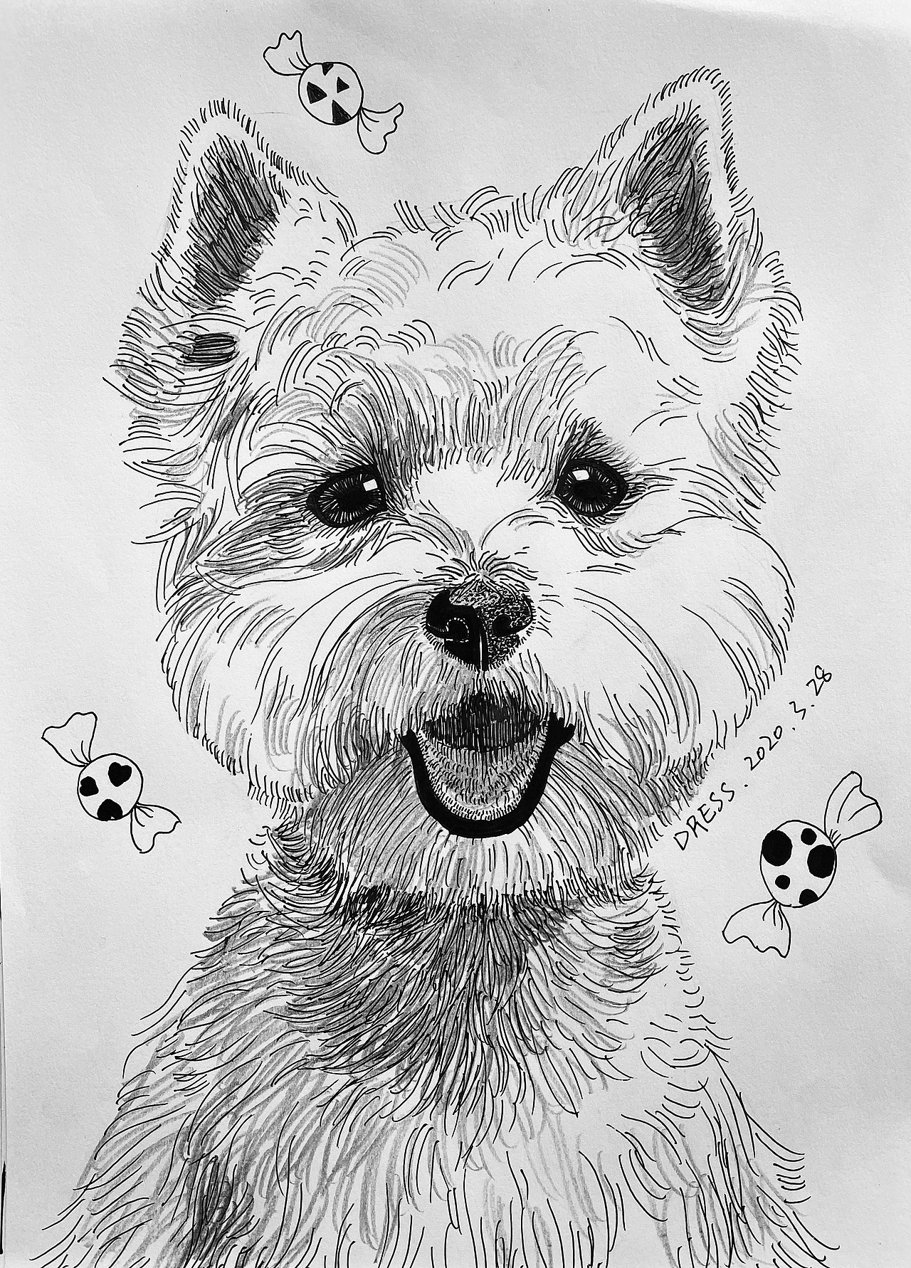 手绘中性笔照片速写