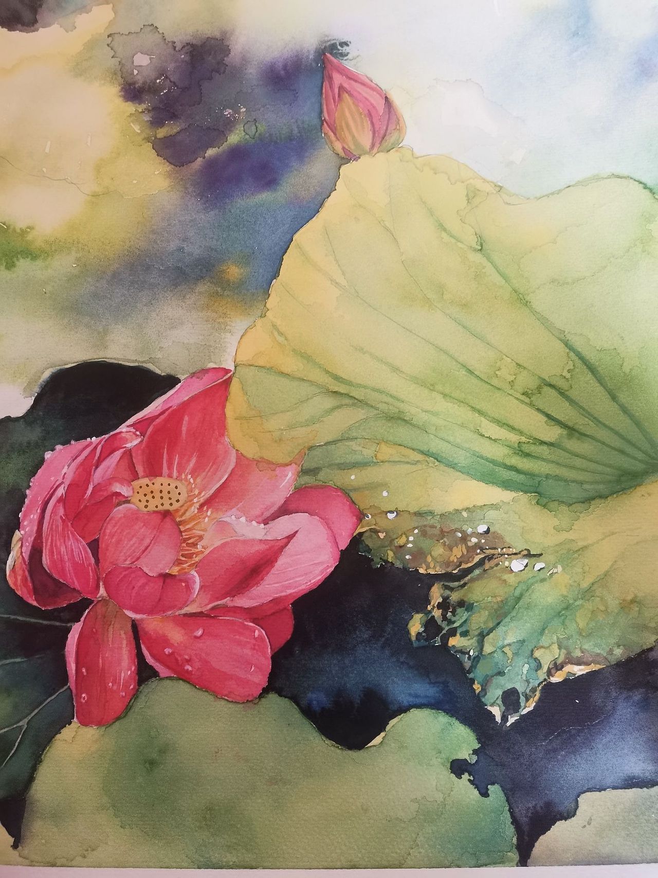 水彩手绘花（图ZMzM0MjIwMzM2） - 绘画 - 站酷设计师爱你如画原创素材 - 站酷ZCOOL