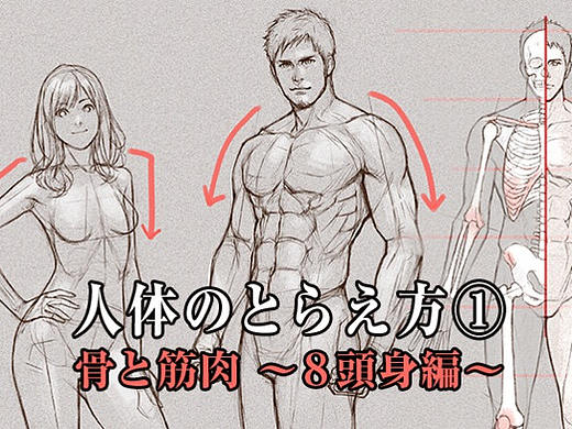 零基础学绘画教程！如何正确掌握绘画人体结构？（上篇）