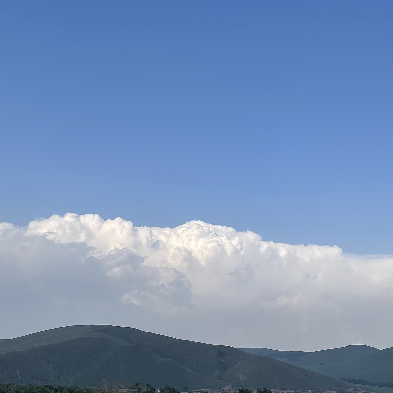 2021不舍得删掉的照片·愿所遇皆美好