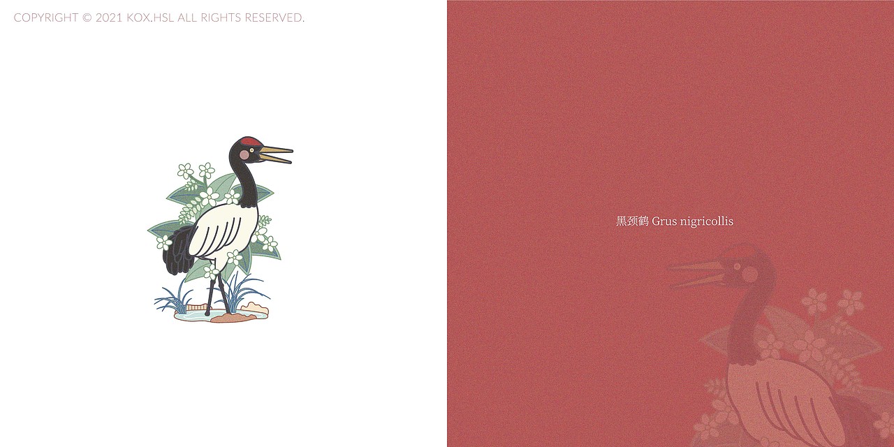 17位动物们（图ZMjc0NzI2MDEy） - 商业插画 - 站酷设计师Kox豪烁郎原创素材 - 站酷ZCOOL