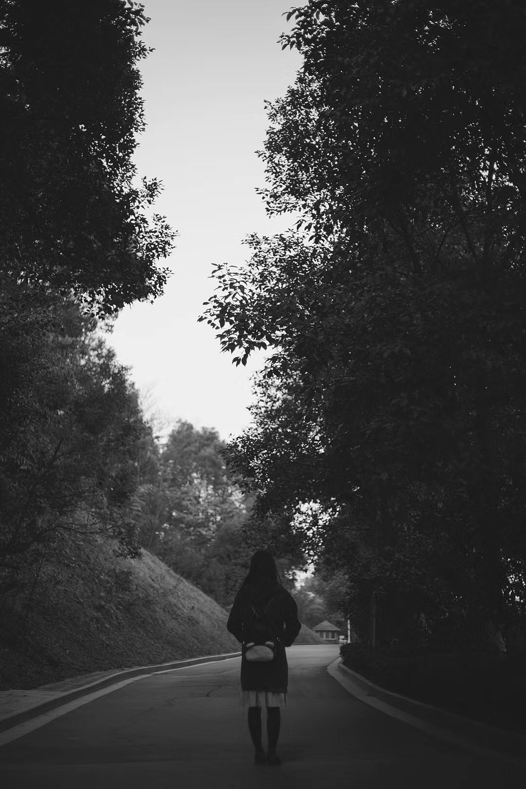 我看见 有些人孤独的很明显