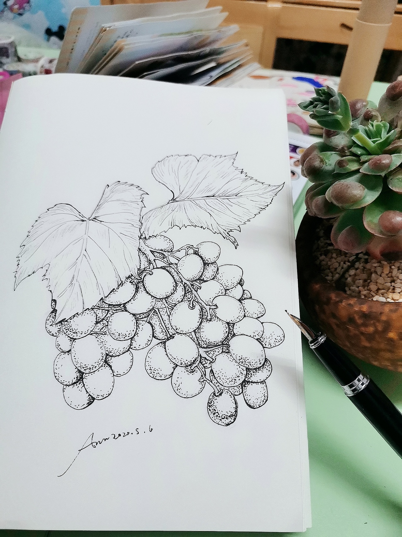 线描练习…葡萄_爱画画的安仔-站酷zcool