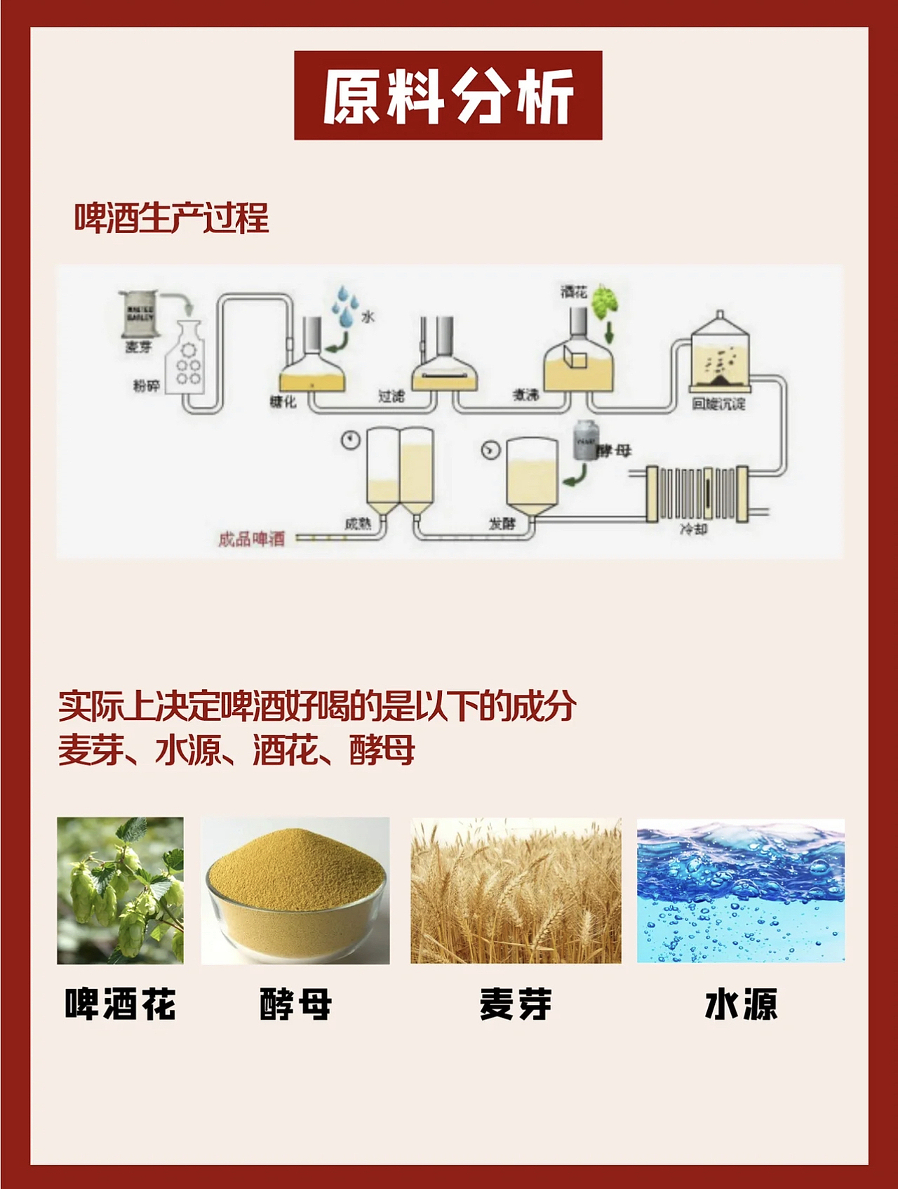 SUPREME MASTER捷克隆兹啤酒精酿100%全麦酿造