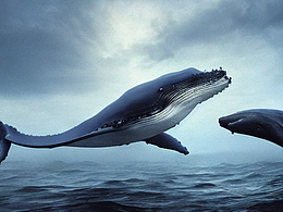 #AI创作实验室#黄昏与鲸鱼蓝色的光