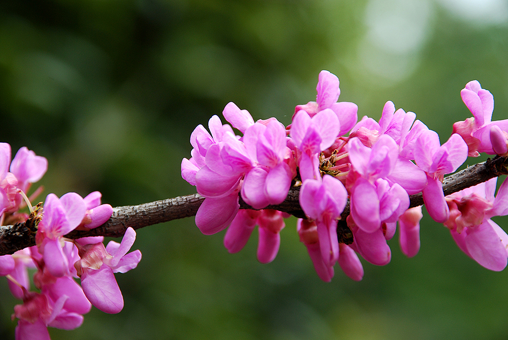 一些随意拍摄的照片，有旅途的、有生活过的城市（图ZMjMzNDc2MDg=） - 风光摄影 - 站酷设计师Chopin萧邦原创素材 - 站酷ZCOOL