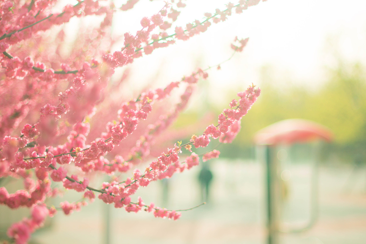 园博园游玩（图ZMTU3MDI4MTI0） - 风光摄影 - 站酷设计师小不高兴原创素材 - 站酷ZCOOL