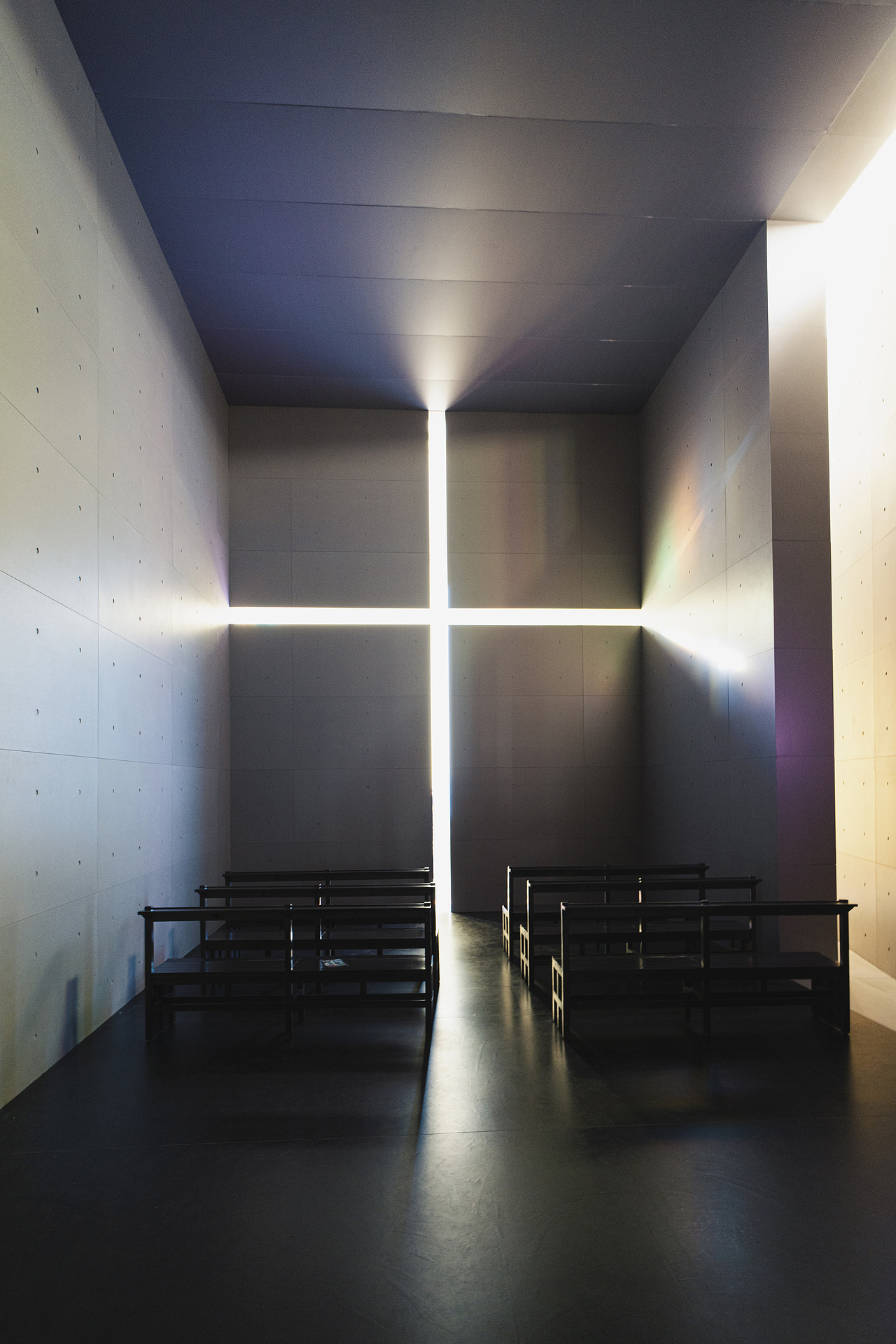 安藤忠雄展「献给永远的青春」