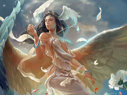 《仙女下凡啦》