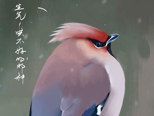 暗中观察