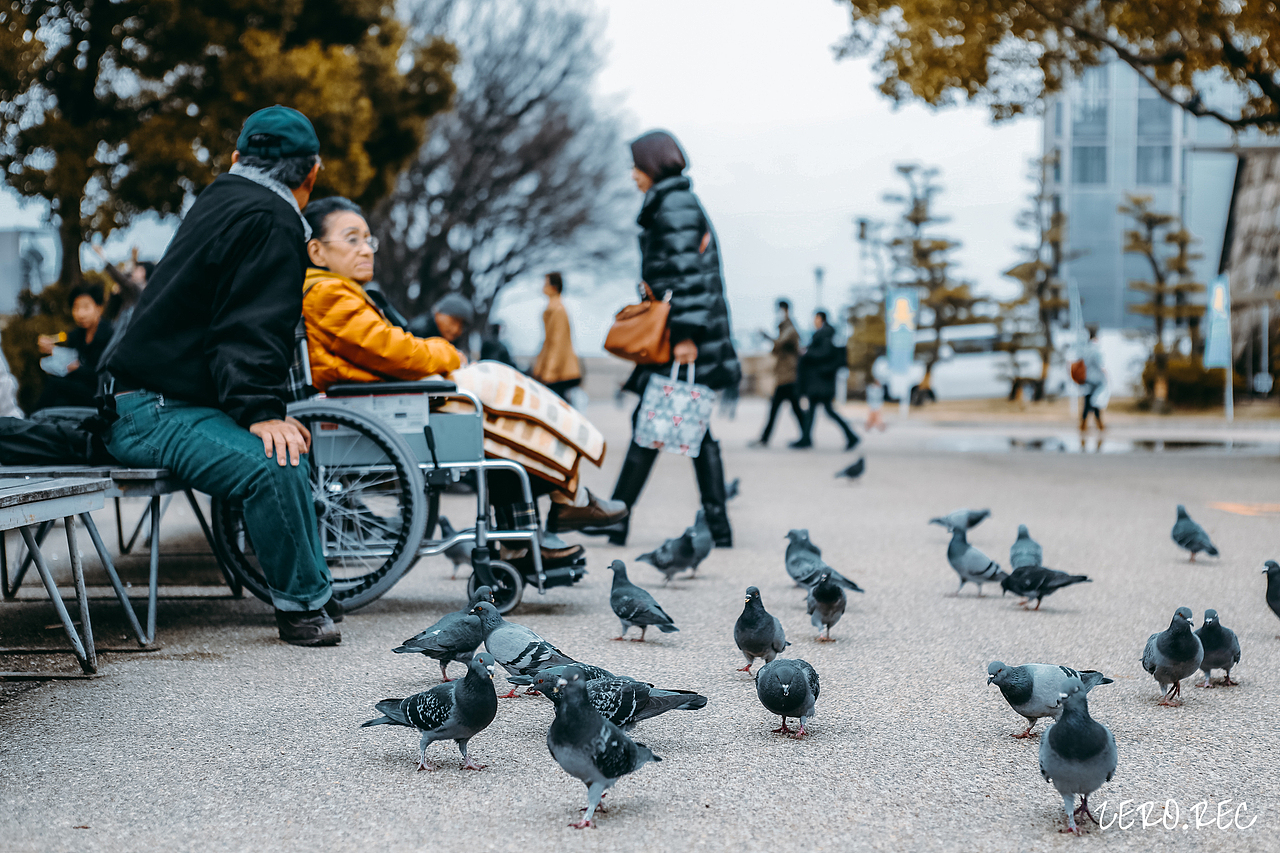 大阪城（图ZMjgyNTg0NzA0） - 环境/建筑摄影 - 站酷设计师邪恶小叮当原创素材 - 站酷ZCOOL