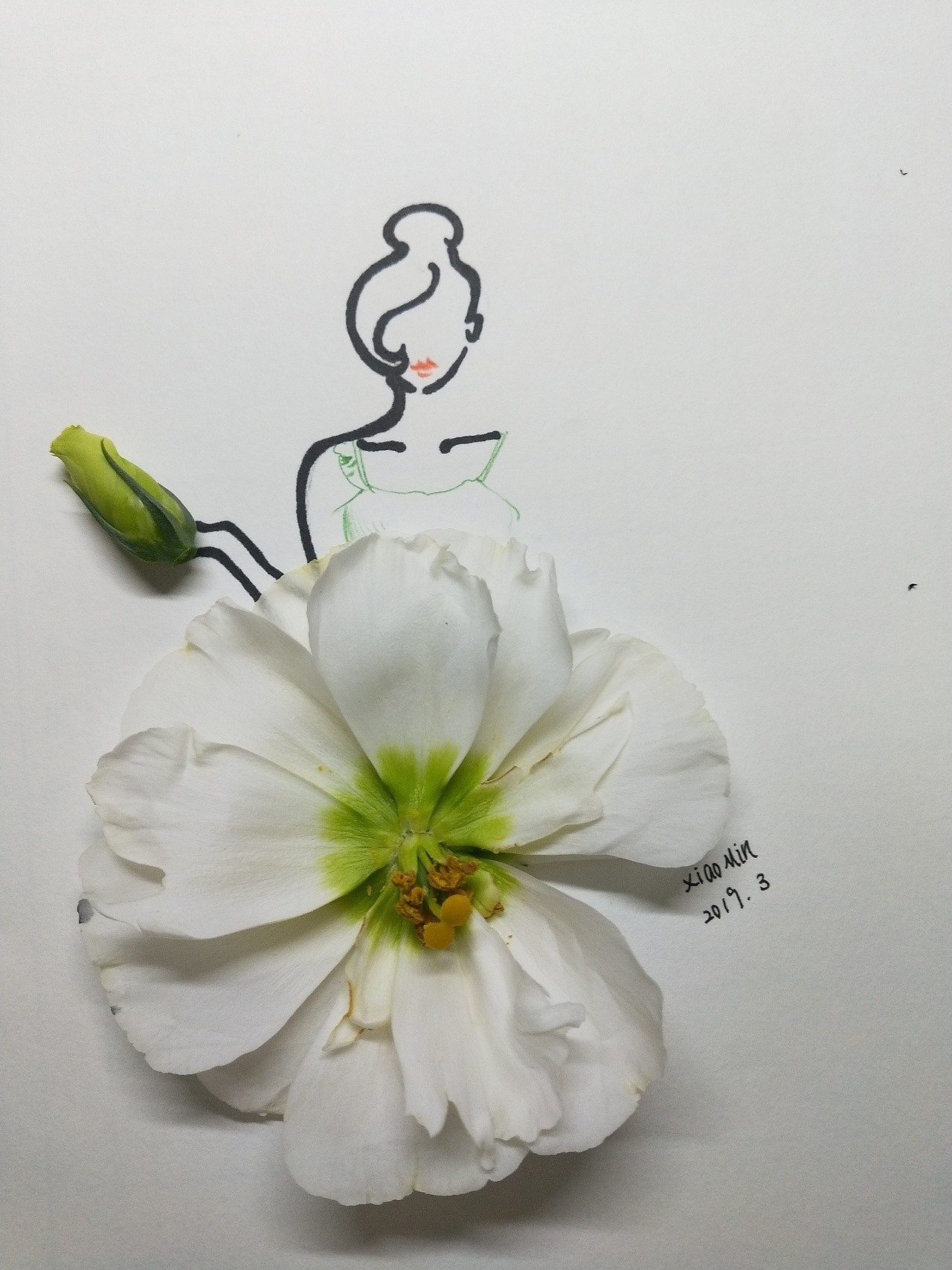 花瓣秀（图ZMTUwMjI4NDA4） - 品牌 - 站酷设计师爱画画的沐子原创素材 - 站酷ZCOOL