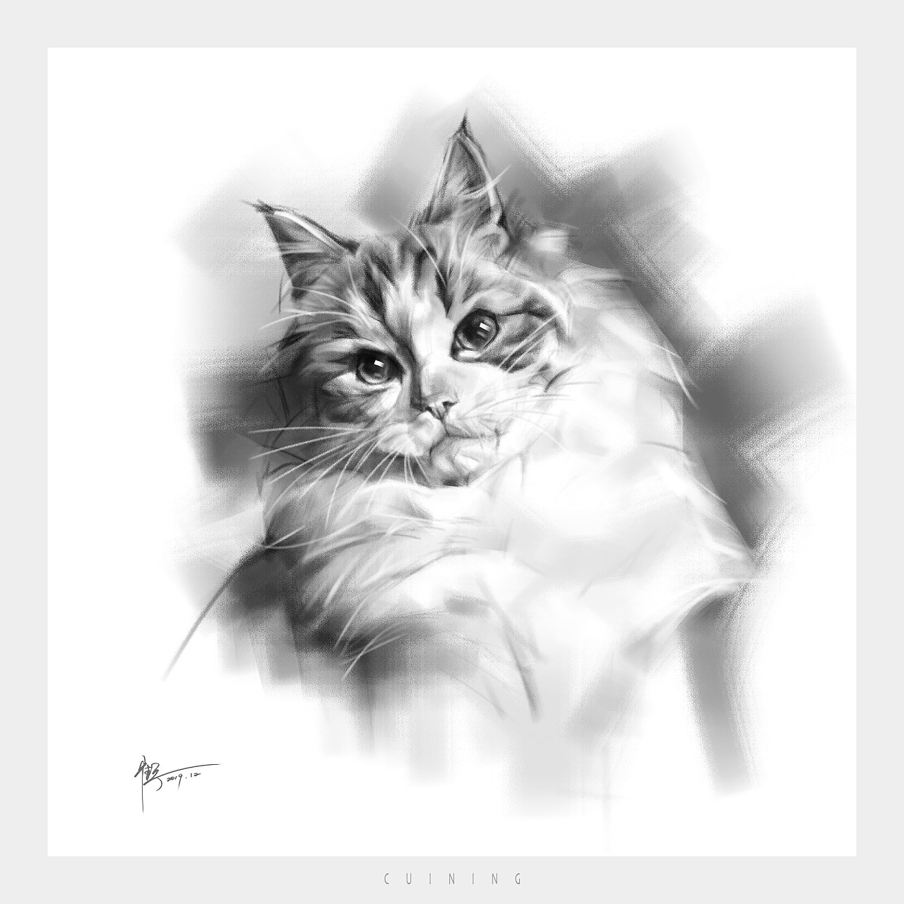 素描猫|插画|绘本|加璐JL - 原创作品 - 站酷 (ZCOOL)