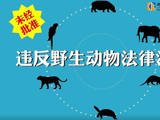厦门MG普法动画——非法猎捕野生动物篇