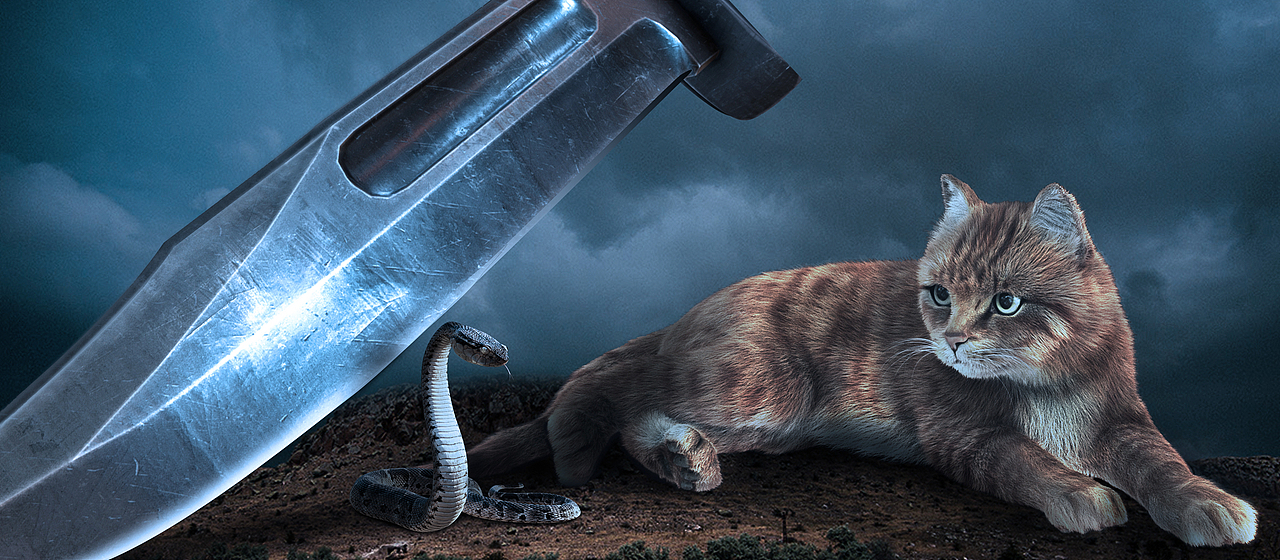 苏杭|创意合成练习-动物情结（图ZMjcwNTI5MDk2） - 海报 - 站酷设计师忠艺传媒_苏杭原创素材 - 站酷ZCOOL