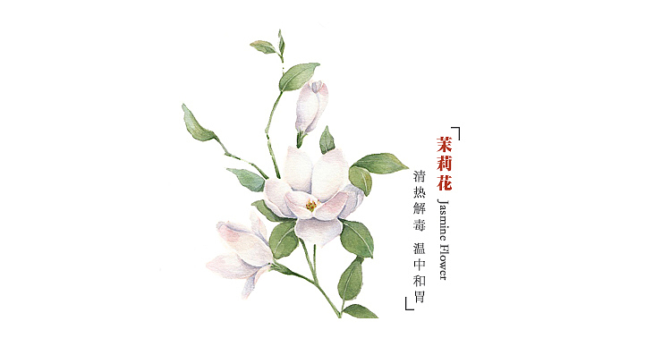 考拉鲜生-茉莉花详情页设计（图ZMzYxNDI4NzI=） - 电商 - 站酷设计师戎上先生原创素材 - 站酷ZCOOL