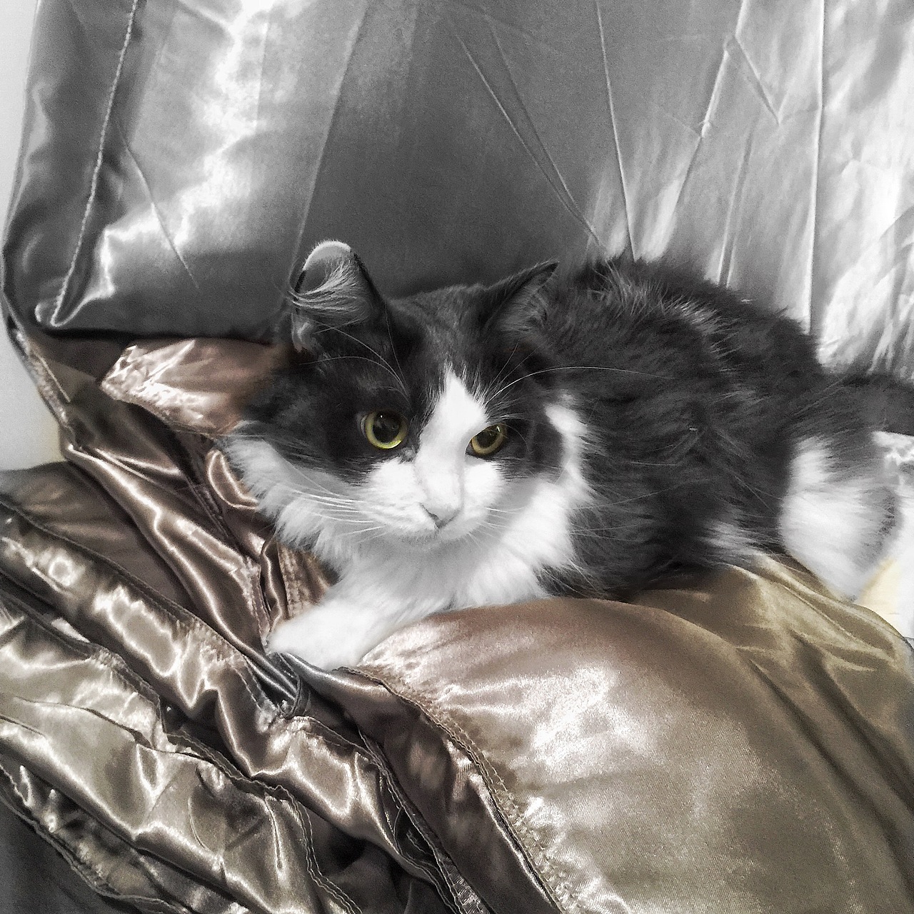 NEWYORK｜纽约手机记录