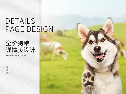 狗粮详情页