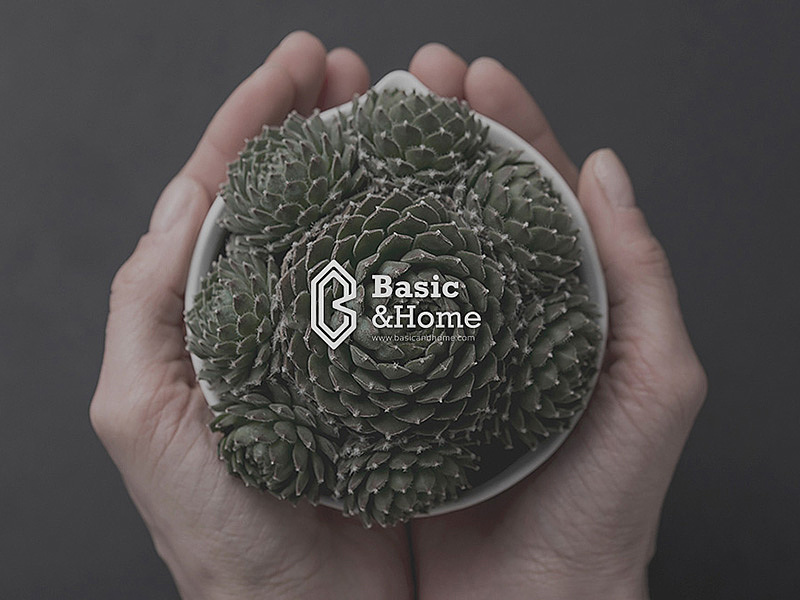 Basic&Home 品牌形象（图ZNjk3NjE2MTY=） - Logo - 站酷设计师CMYKER原创素材 - 站酷ZCOOL