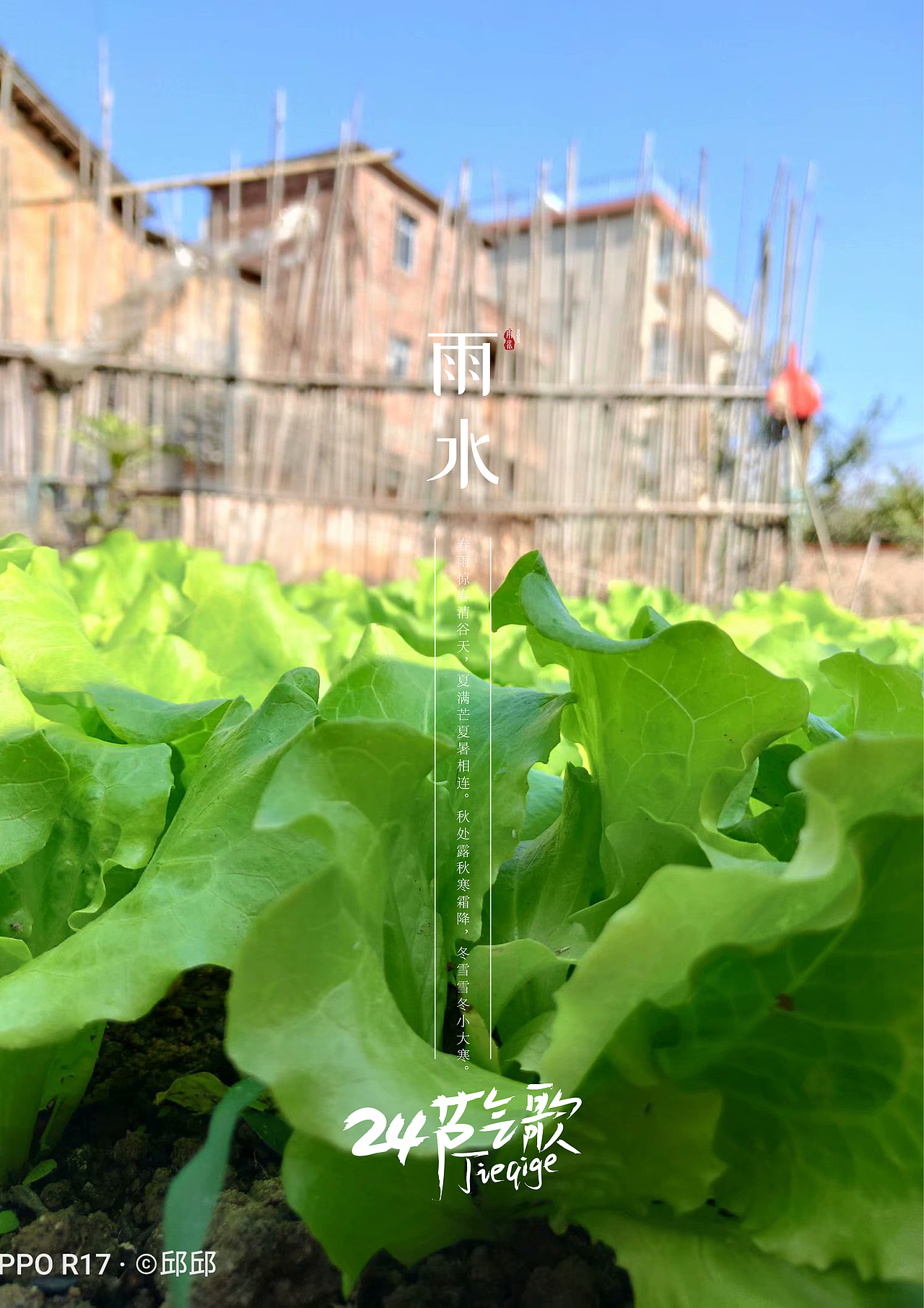 24节气之镜头下（图ZMjYzNTM2MzA4） - 人文/纪实摄影 - 站酷设计师杞子呆呆原创素材 - 站酷ZCOOL