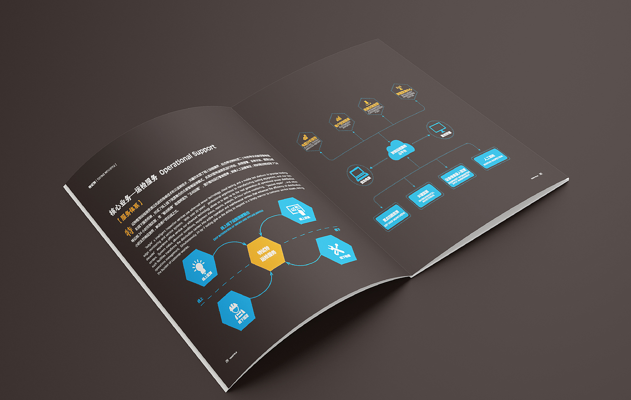 【橘鹿品牌】武汉特式特科技画册设计