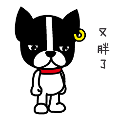 BOBO和捣蛋鬼GAGA的带娃日常