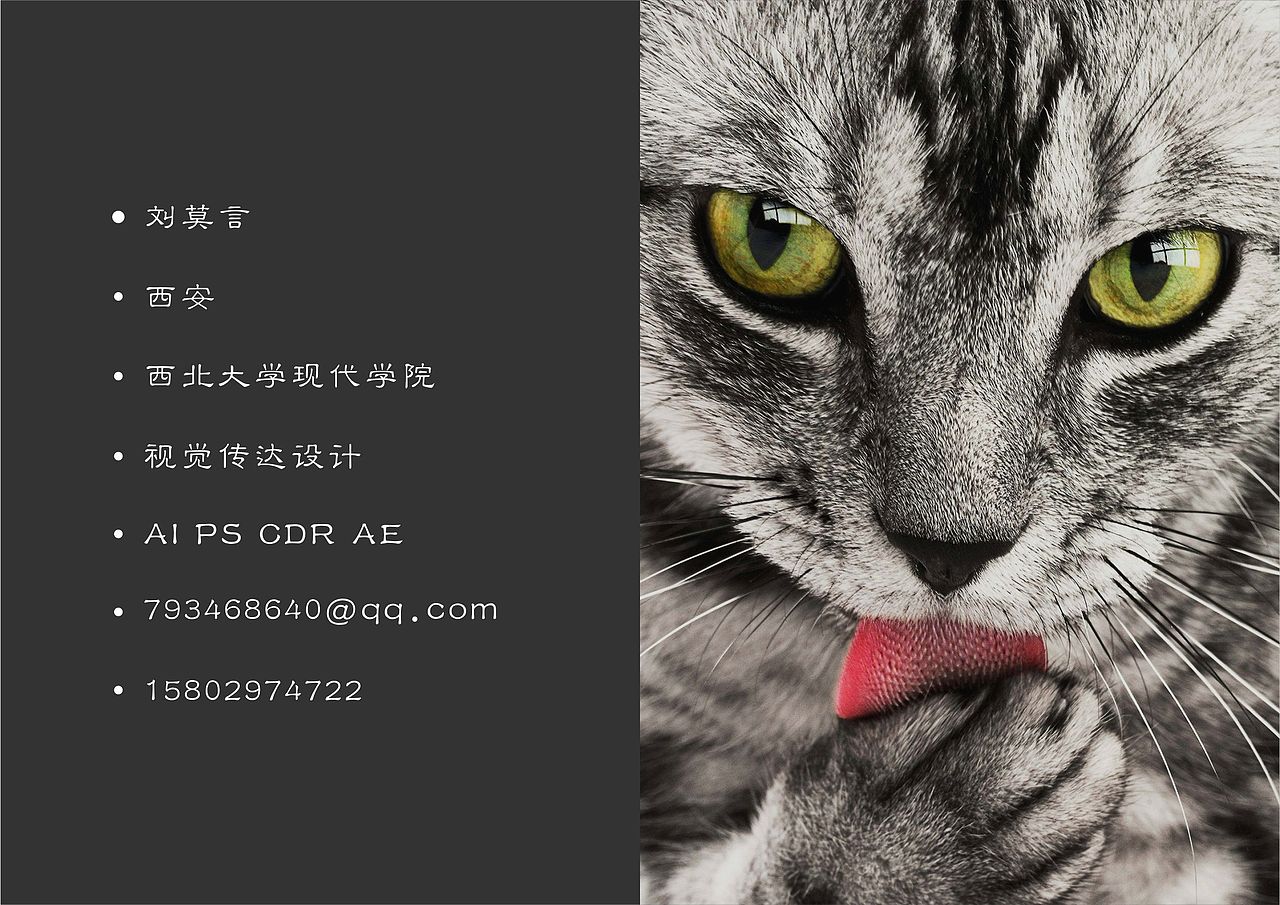 作品集（图ZMTE0OTExOTg0） - 其他平面 - 站酷设计师小魔头666原创素材 - 站酷ZCOOL