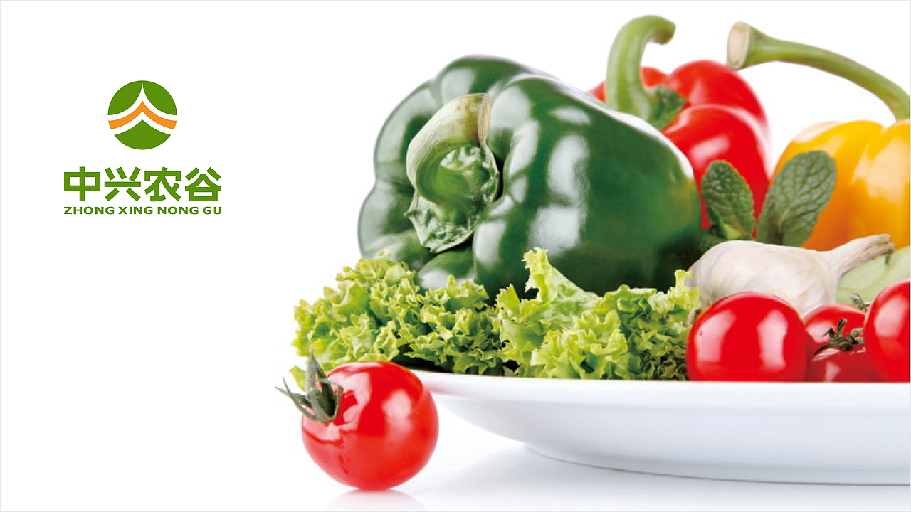 【语易沉】中兴农谷 x 品牌标志设计案（图ZMjk1Mjk2MTY=） - Logo - 站酷设计师语易沉原创素材 - 站酷ZCOOL