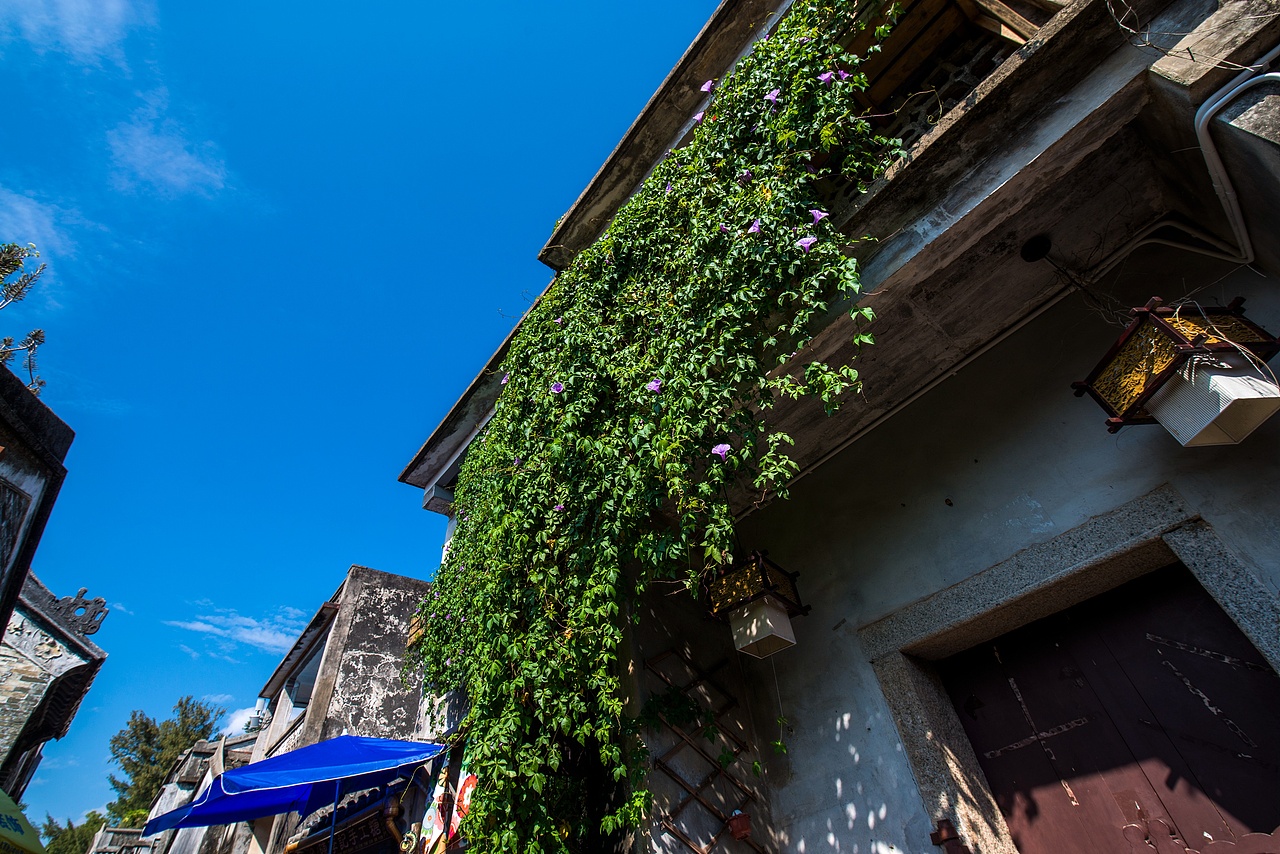 一路向东，骑行大鹏、校场尾与官湖