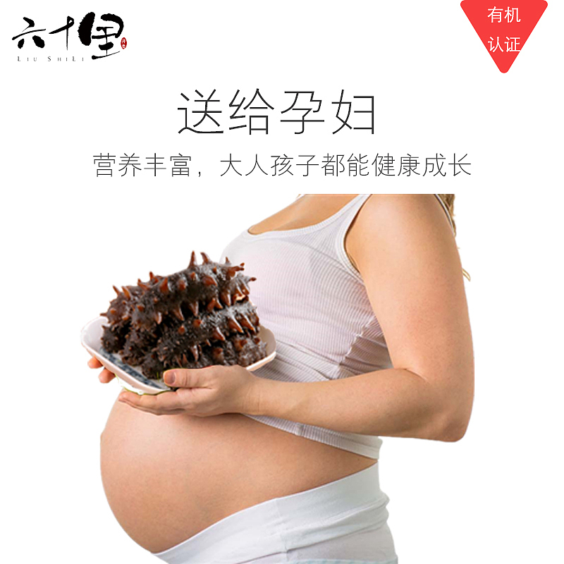 海参主图（图ZODc0MjAyMDg=） - 宣传物料 - 站酷设计师周啊周啊周宝可梦原创素材 - 站酷ZCOOL