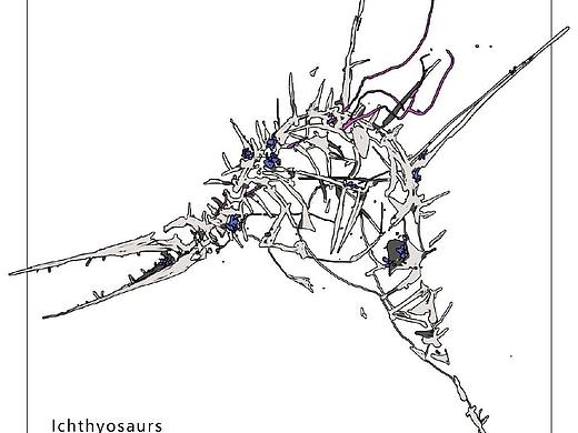 Ichthyosaurs