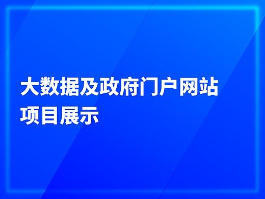 大数据、政府门户网站方案设计