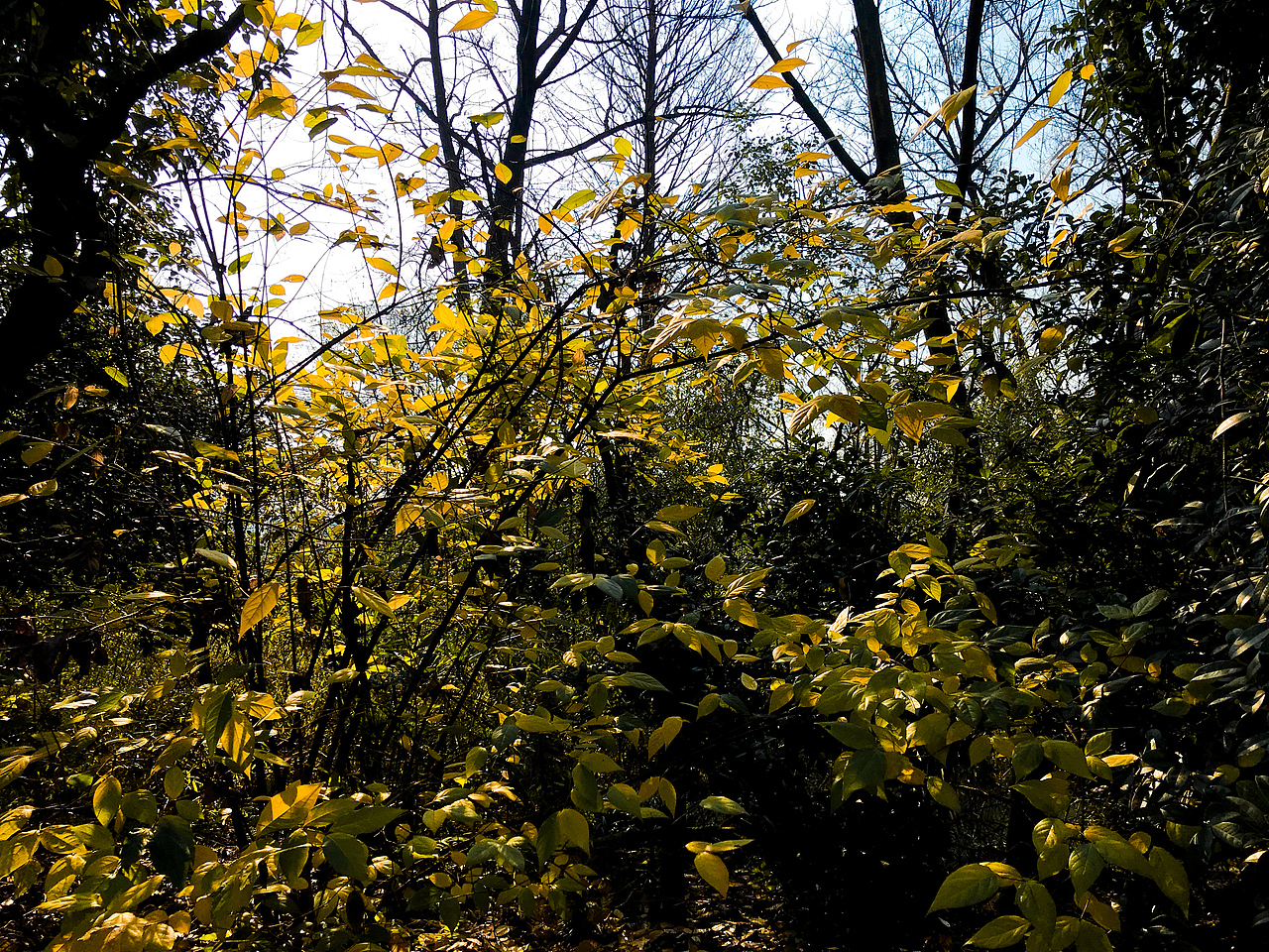 学摄影（图ZMTk0NzUwODY0） - 风光摄影 - 站酷设计师_SuperCat原创素材 - 站酷ZCOOL