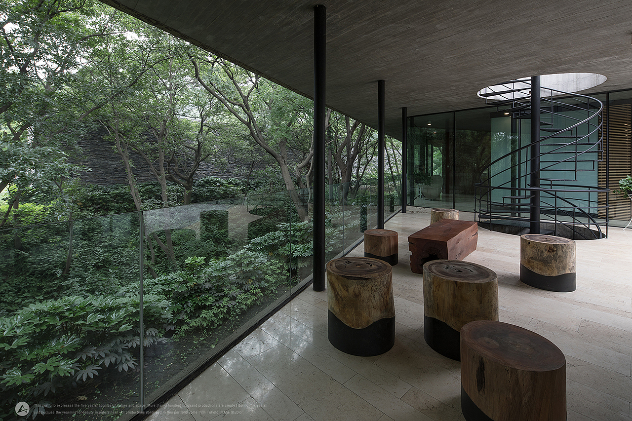 「建筑摄影」Water Lilies 睡莲