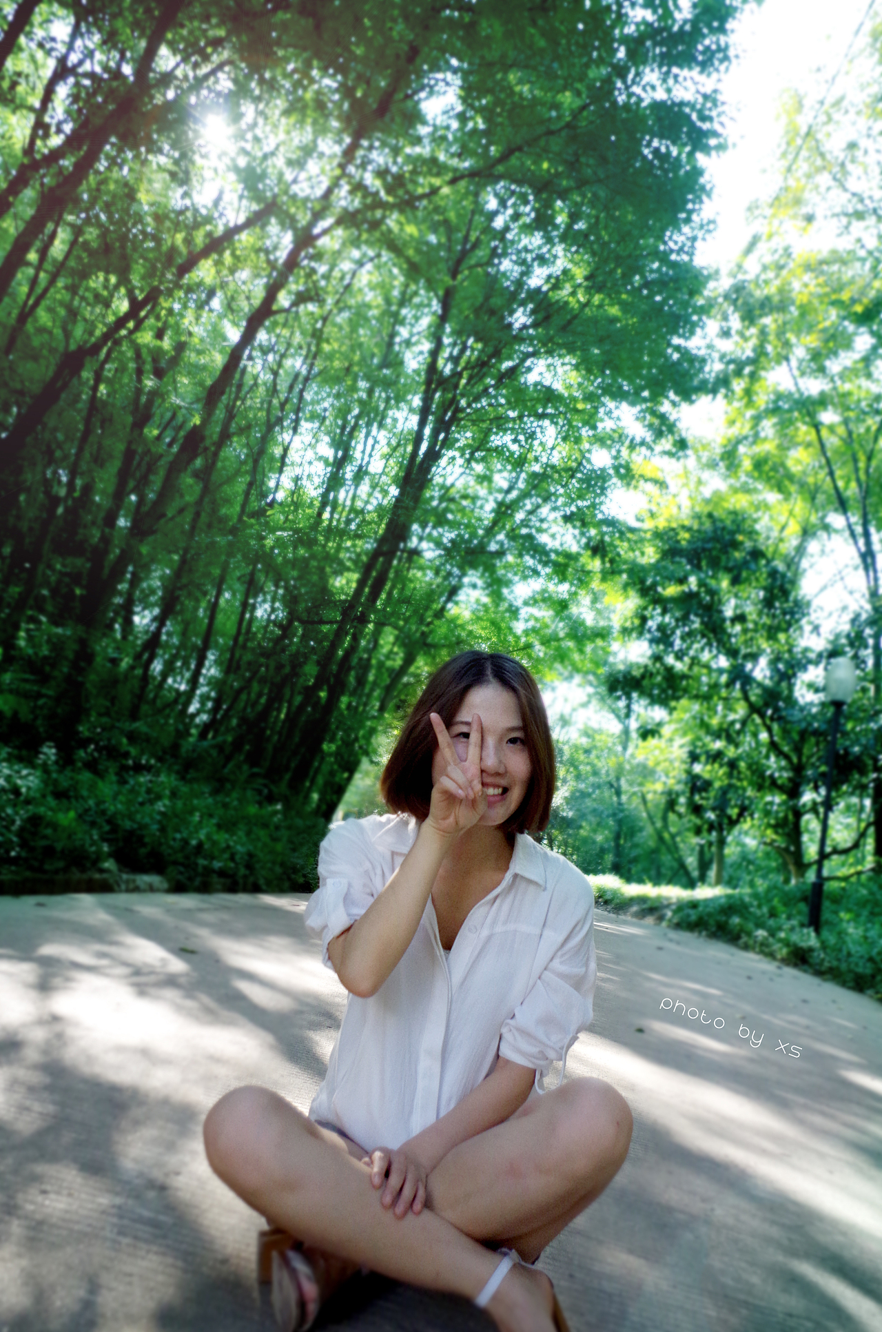 〈洒进阳光里〉