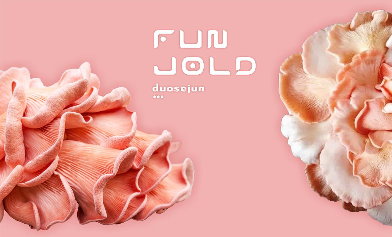 多色菌（图ZNTk5MjcxMDQ=） - 其他平面 - 站酷设计师停道酬勤原创素材 - 站酷ZCOOL