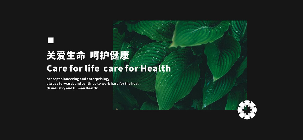 LOGO设计 | 国控星鲨LOGO&会徽设计