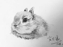 小兔兔其實(shí)可以很可愛