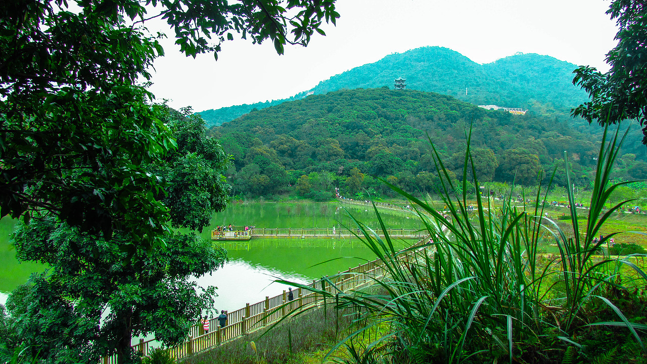 初一爬山“清溪镇大王山”,第一次拍摄。