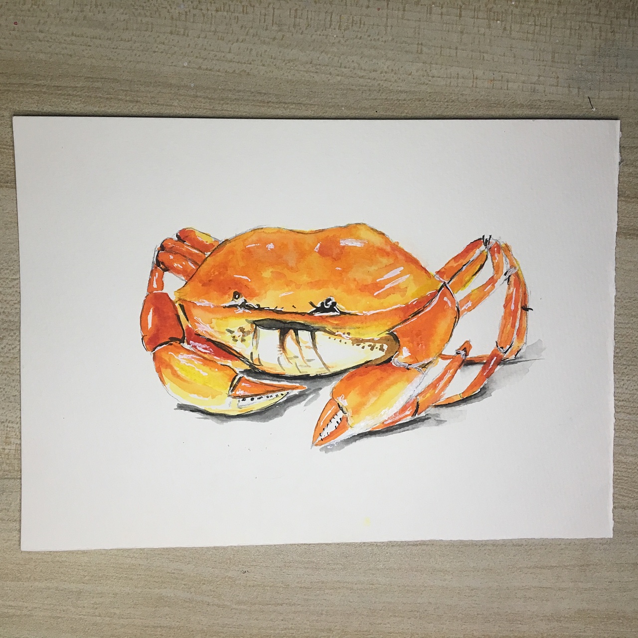 简单漂亮简笔画 可爱简笔画螃蟹的画法步骤图💛巧艺网