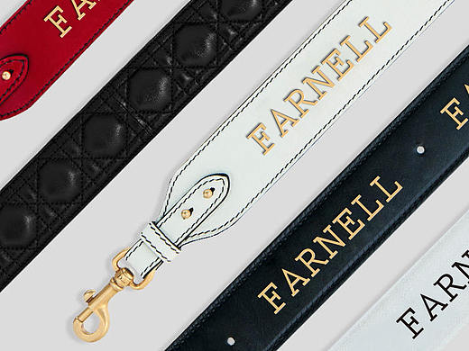 FARNELL品牌形象标志设计，法国/时尚/高端/女包/鞋服（个人主页-ZMjU1NTU5NjA=） - Logo - 站酷设计师金针菇菇原创素材 - 站酷ZCOOL