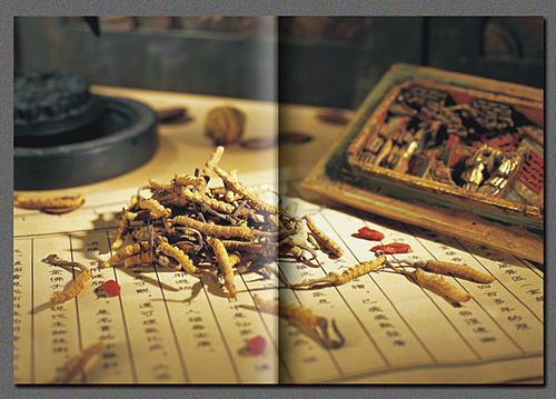 化妆品产品手册设计