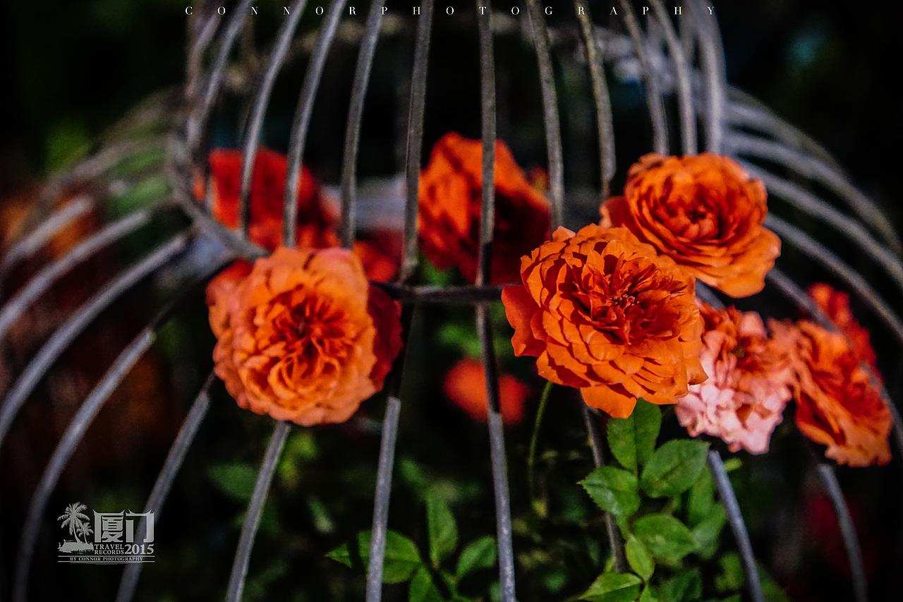 【A6000 难以忘怀的碧海蓝天】