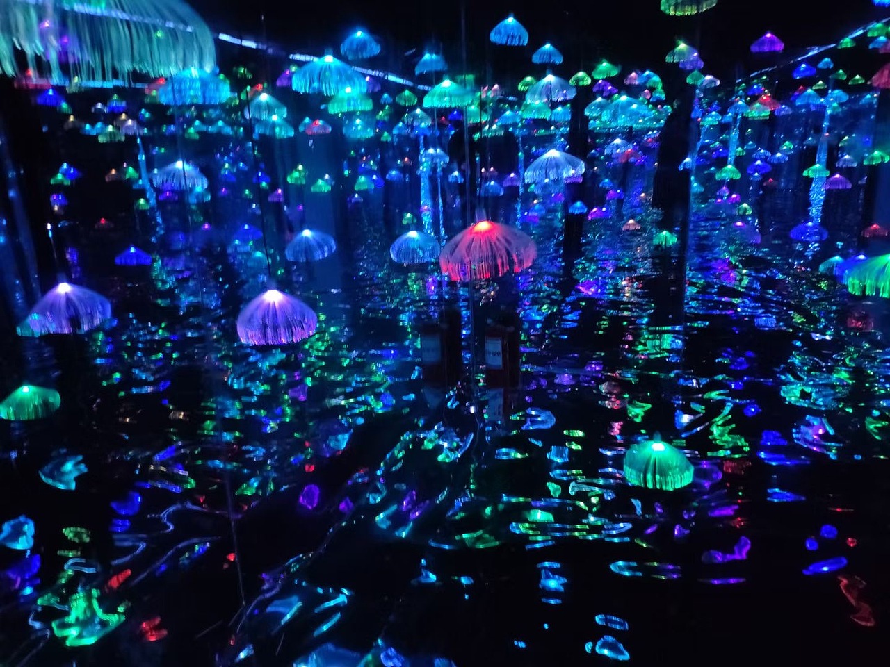 呼吸森林租赁光影展系列产品出租