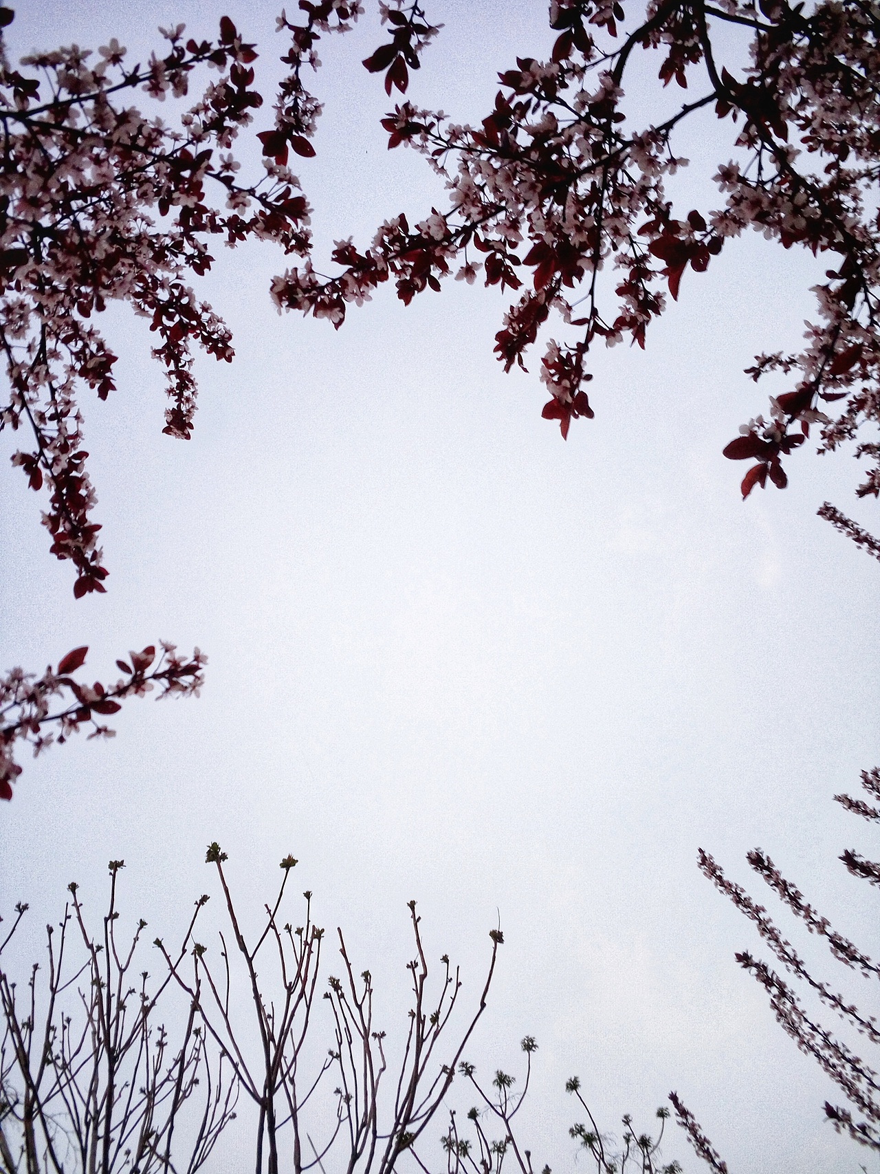 无题（图ZMTIyNzc2NTEy） - 风光摄影 - 站酷设计师HannyCheuk原创素材 - 站酷ZCOOL