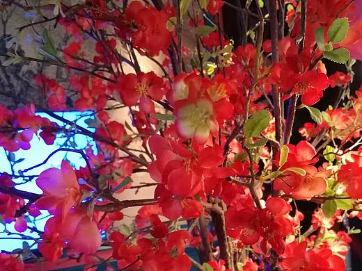 擺場花飾（個(gè)人主頁-ZMzYwODgwNjQ=） - 其他空間 - 站酷設(shè)計(jì)師s_water原創(chuàng)素材 - 站酷ZCOOL