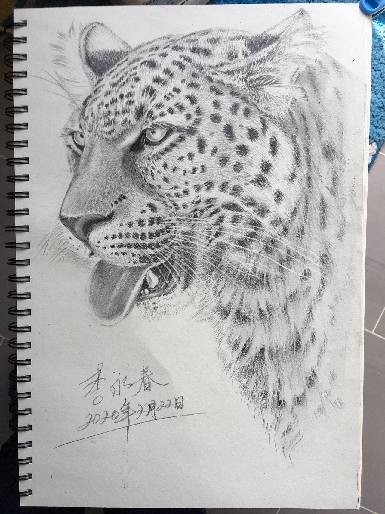 铅笔画|纯艺术|绘画|通辽李永春绘画_原创作品-站酷zcool