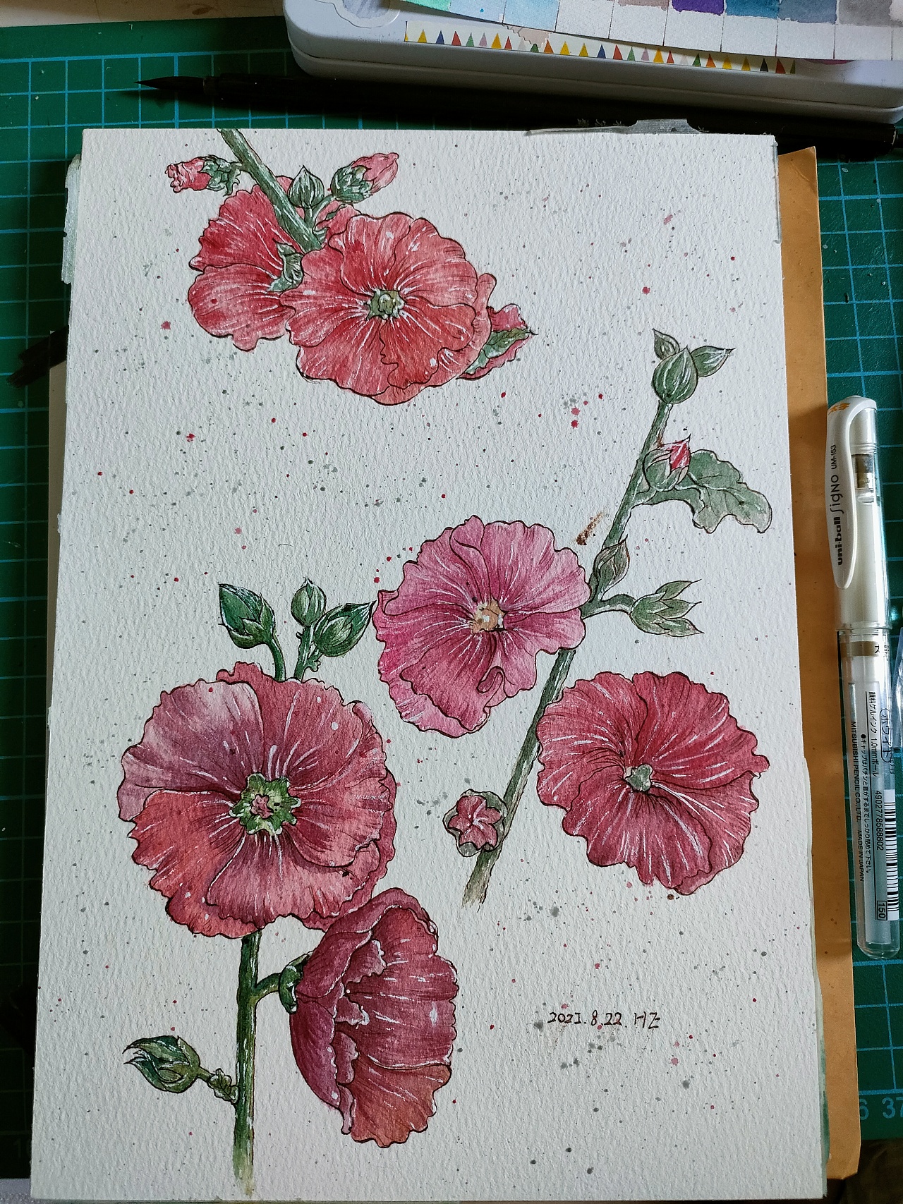 钢笔淡彩临摹——蜀葵