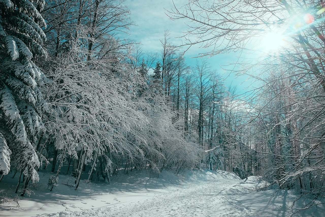 冬季·雪景